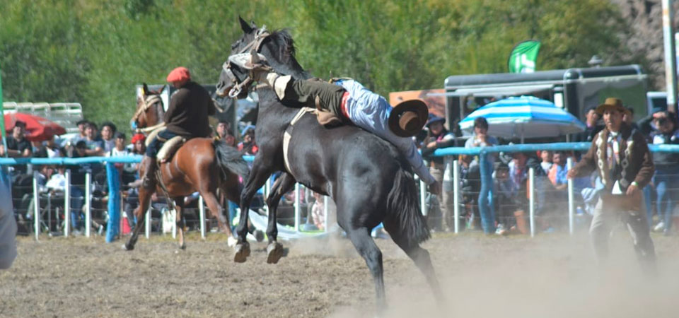 Lee más sobre el artículo Fiesta Provincial de la Cordialidad