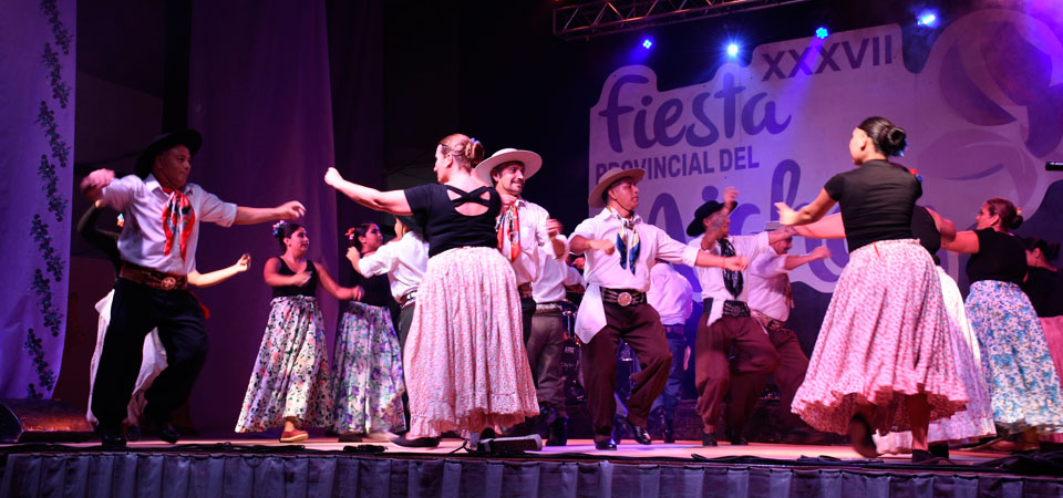 Lee más sobre el artículo Fiesta Provincial del Michay