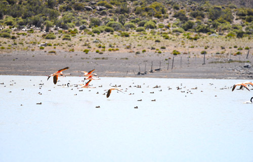 corredor-12-tematico-avifauna